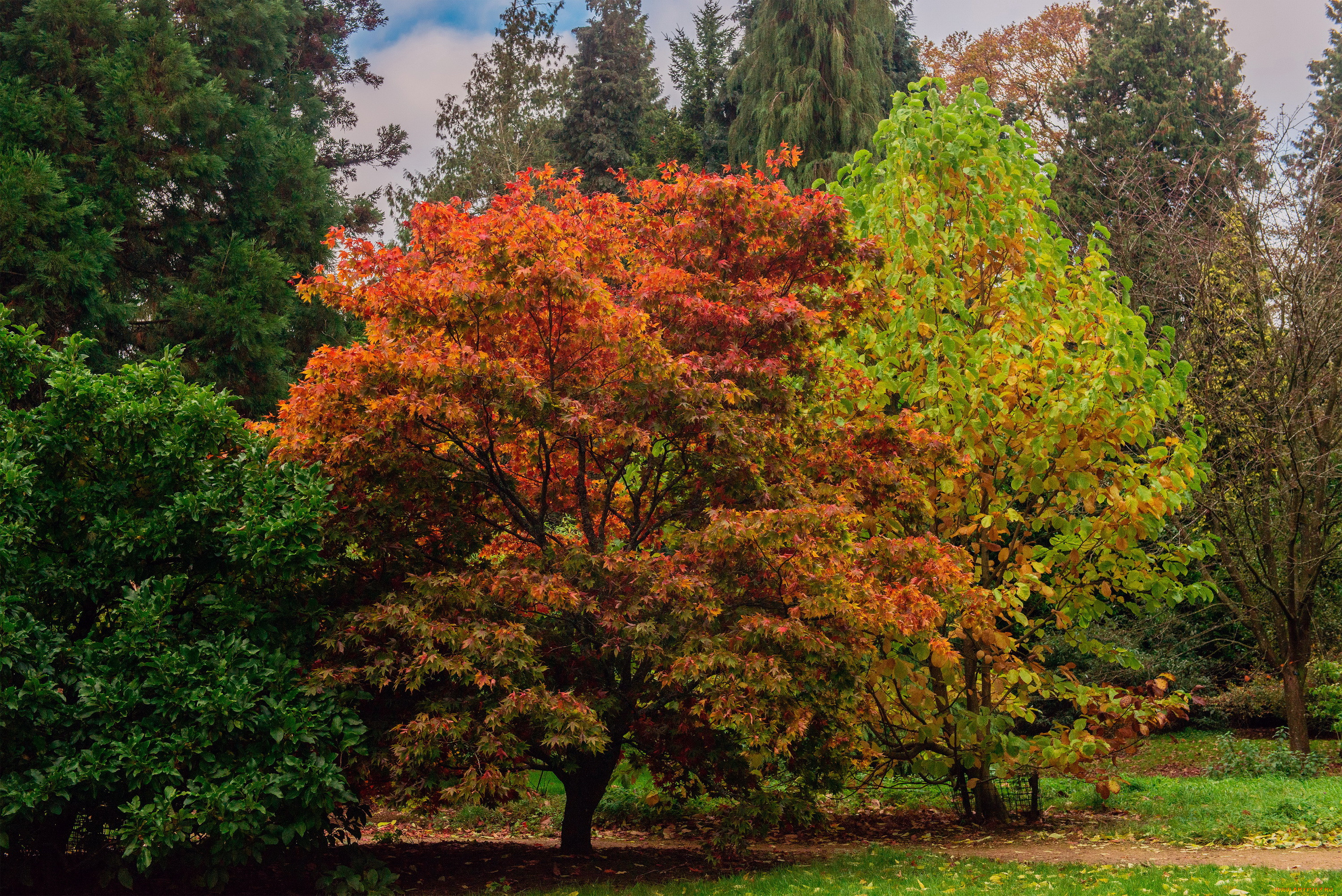 batsford, park, , , , , , 